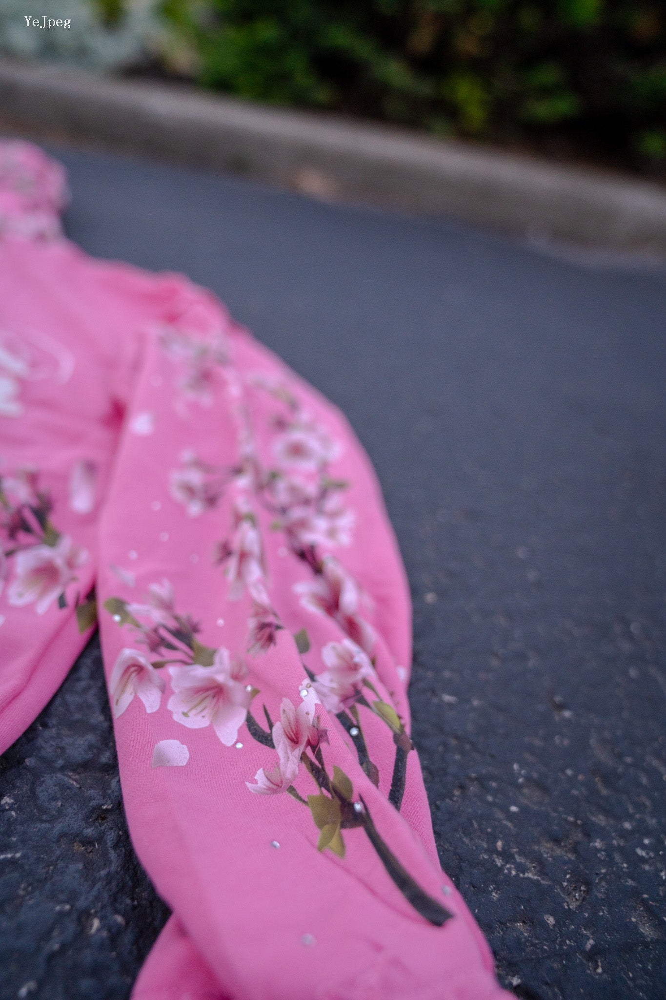 Pink Cherry Blossom Hoodie